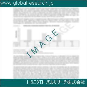 グローバルリサーチ調査資料のイメージ